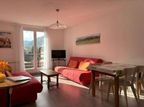 Appartement cosy, balcon sud, 2 chambres, parking gratuit à 10 min du centre et proche ski ! - FR-1-548-4
